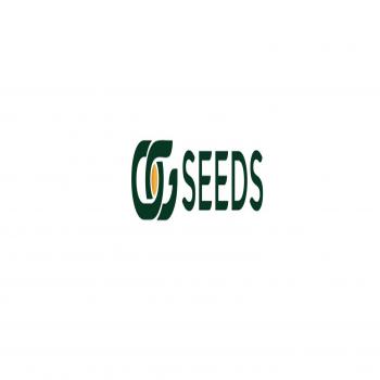 's OG Seeds Resume
