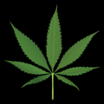 Pacific Cannabis Church - Dispensary