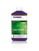 alga bloom Marijuana Nutrient