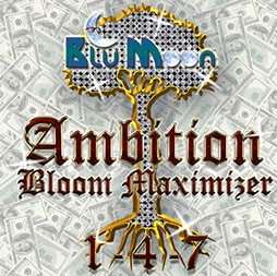 Ambition by Blu Moon