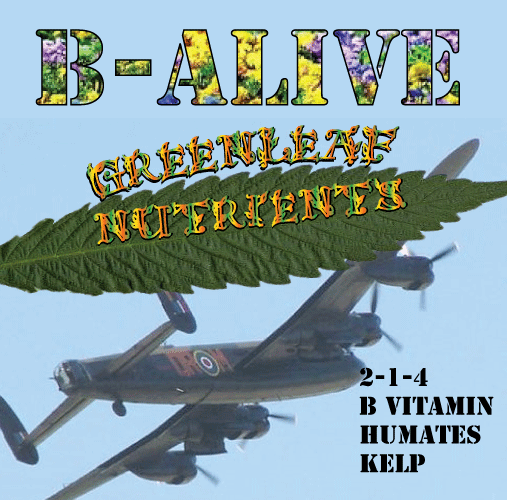 B-Alive by Greenleaf Nutrients