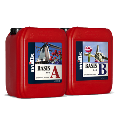 Basis A by Mills Nutrients