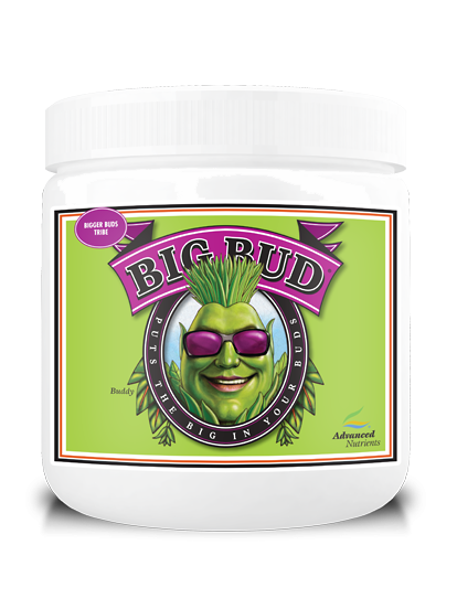 Big Bud Powder by Advanced Nutrients