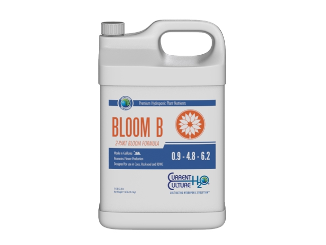 Bloom B by Current Culture H2O