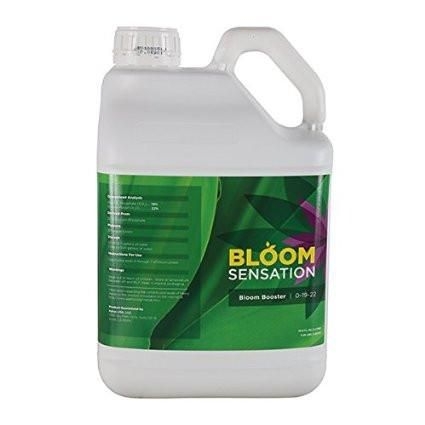 Bloom Sensation Marijuana Nutrient
