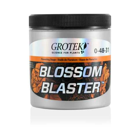 Blossom Blaster by Grotek