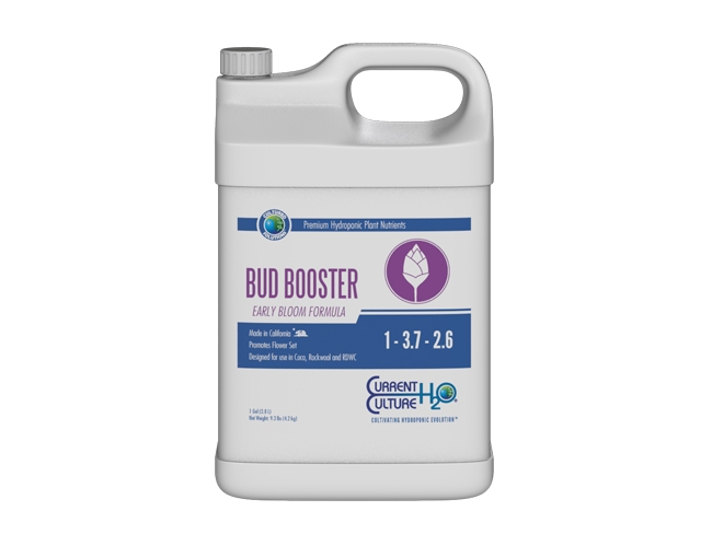Bud Booster Early by Current Culture H2O