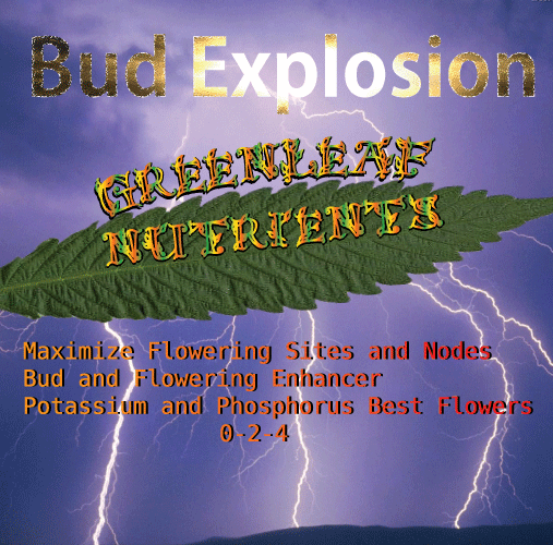 Bud Explosion by Greenleaf Nutrients