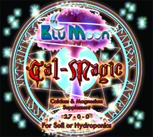 Cal-Magic by Blu Moon