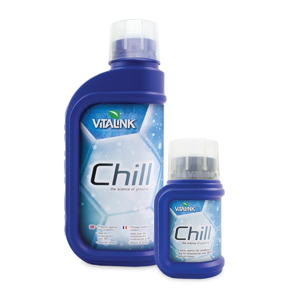 Chill by 