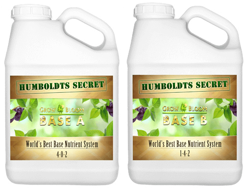 Humboldts Secret Base A Bundle by Humboldts Secret