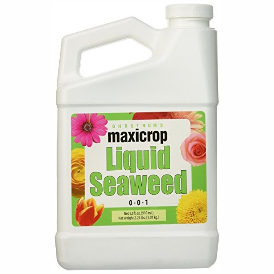 Liquid Seaweed by Maxicrop