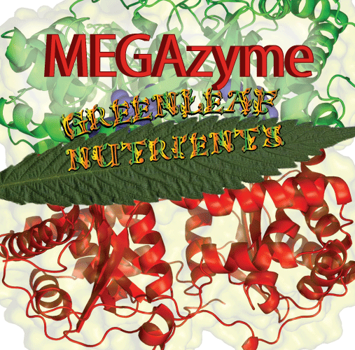 Megazyme by Greenleaf Nutrients
