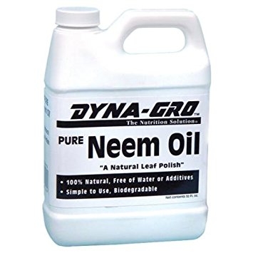 Pure Neem Oil Organic Leaf Polish by Dyna-Gro