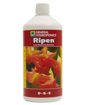 Ripen by GHE