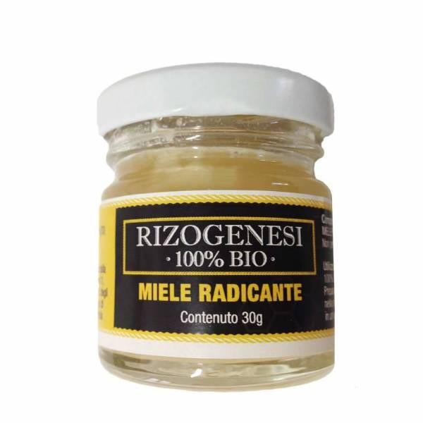 Rizogenesi Honey Rooting by BioMagno