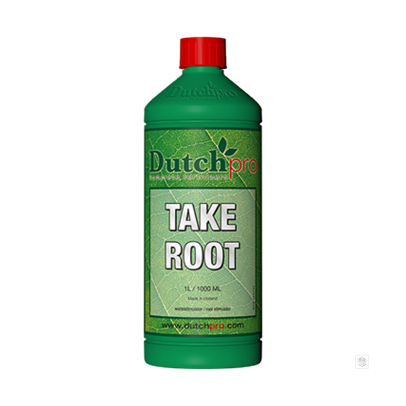 Take Root by Dutchpro