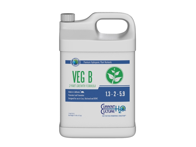 Veg B by Current Culture H2O