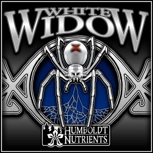 White Widow by Humboldt