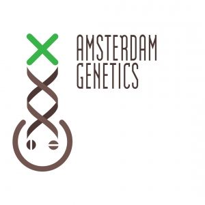 Green Magic by Amsterdam Genetics