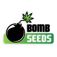 Bomb Seeds Marijuana Seed Company