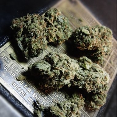 Chronic Marijuana Seeds