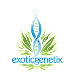 Exotic Genetix Seed Company