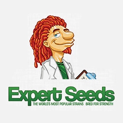 Expert Seeds Marijuana Seed Company