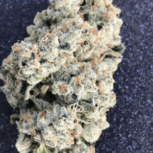 Ogee Crasher by Seed Junky Genetics
