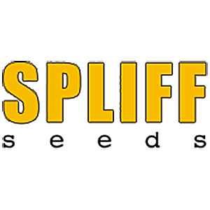 Spliff Seeds Seed Company
