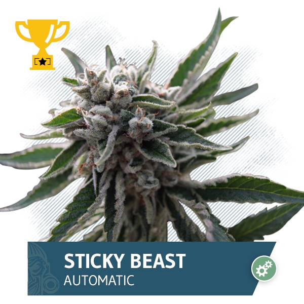 Sticky Beast Automatic by 