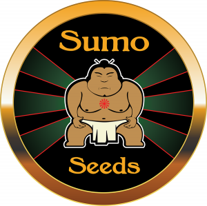 Thunderstruck by Sumo Seeds