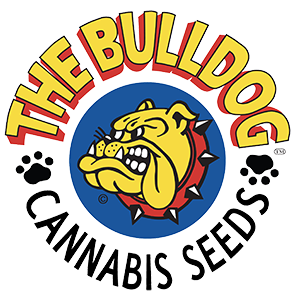 Bubblegum Kush by The Bulldog Seeds