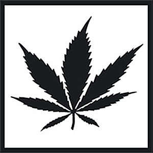 White Label Marijuana Seed Company