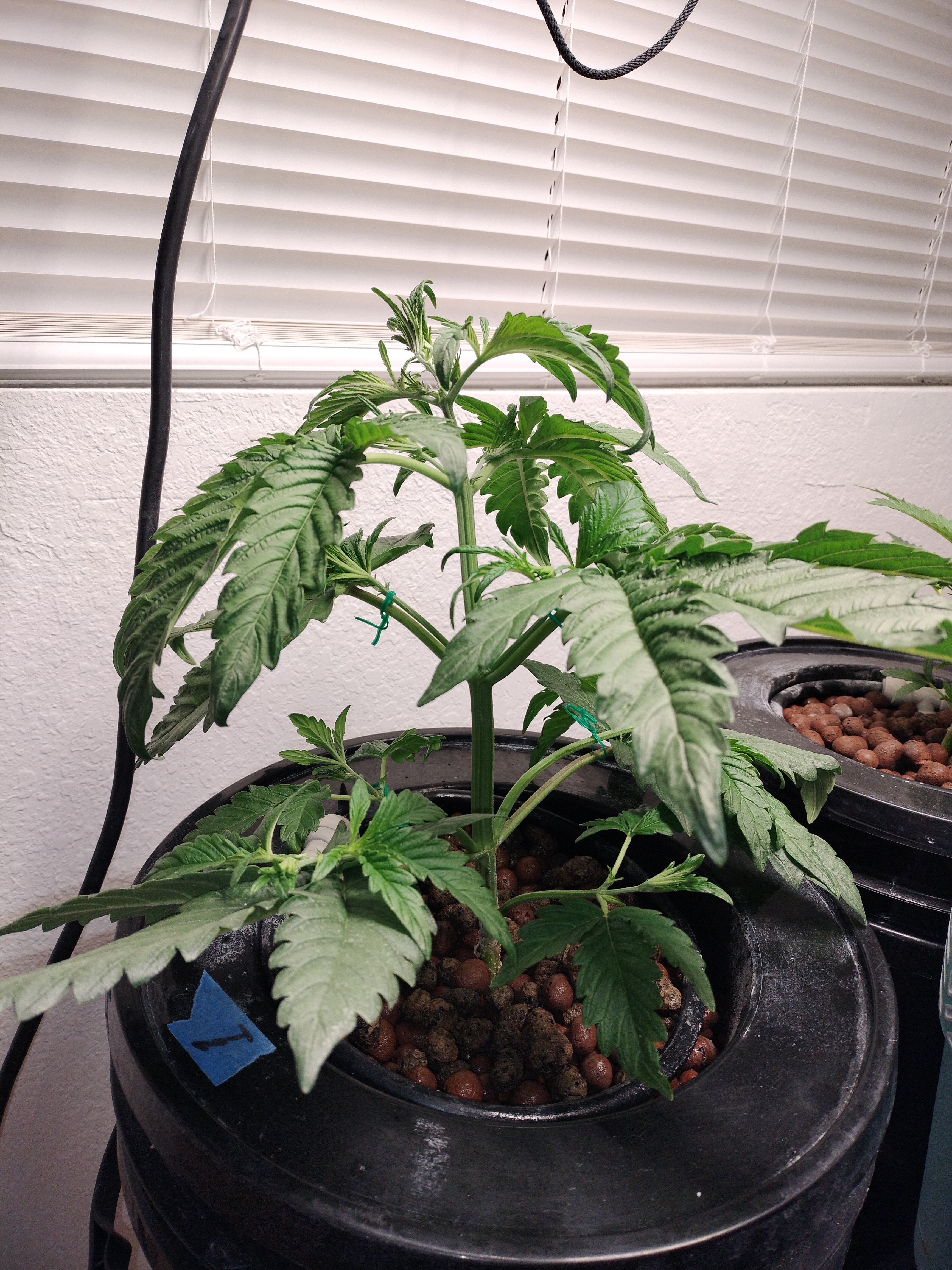 GDP, Day 28 - no1 