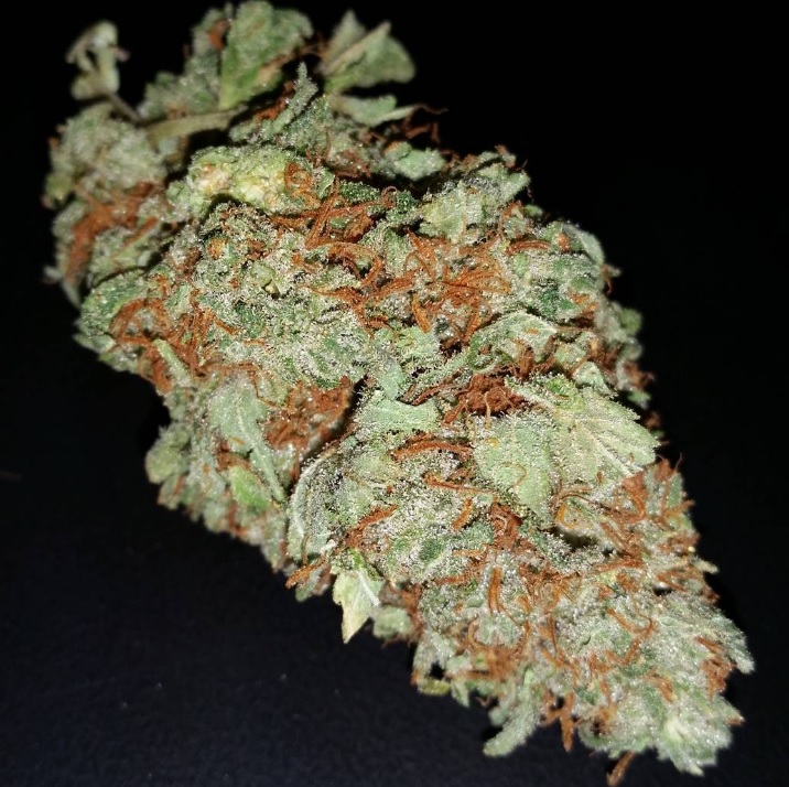 A nice nug of Shishkaberry - Shishkaberry Marijuana Strain