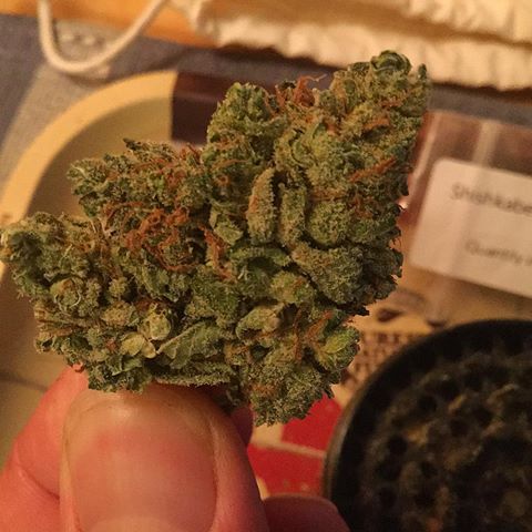  Crystal picture of Shishkaberry - Shishkaberry Marijuana Strain