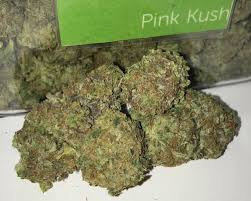 Pink Kush (as titled hehe) - Pink Kush Marijuana Strain