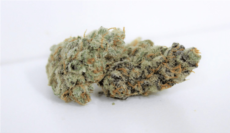 Sexy shot of Big Bud - Big Bud Marijuana Strain